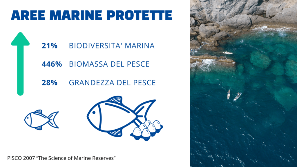 aree marine protette