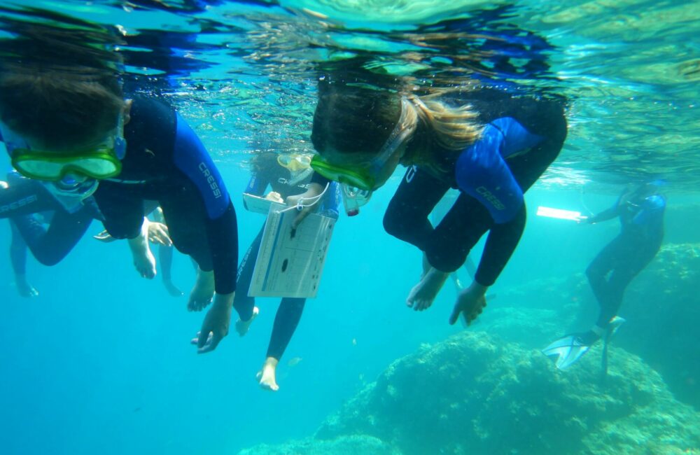Impariamo il mare_laboratorio e snorkeling per bambini