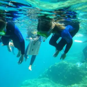 Impariamo il mare-laboratorio e snorkeling guidato per bambini
