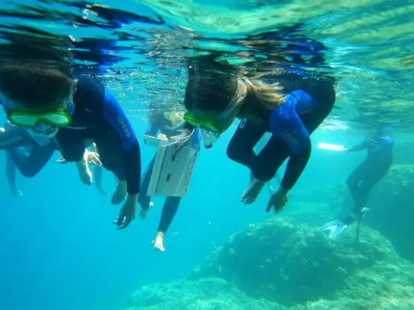 Impariamo il mare-laboratorio e snorkeling guidato per bambini