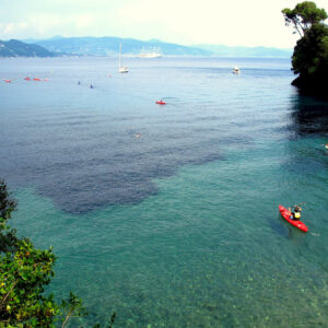 Orienteering Marino a Portofino