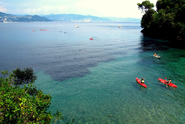 Orienteering Marino a Portofino