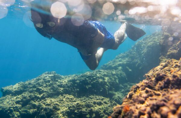 snorkeling tour