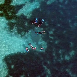 snorkeling tour notturno