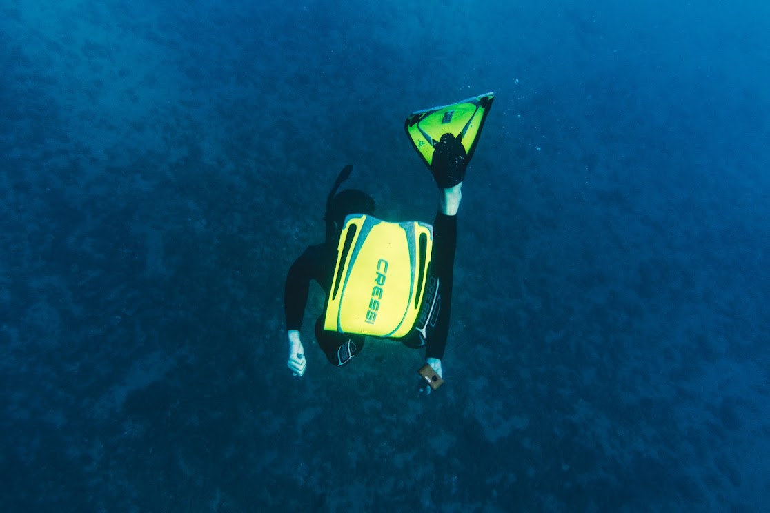 snorkeling notturno