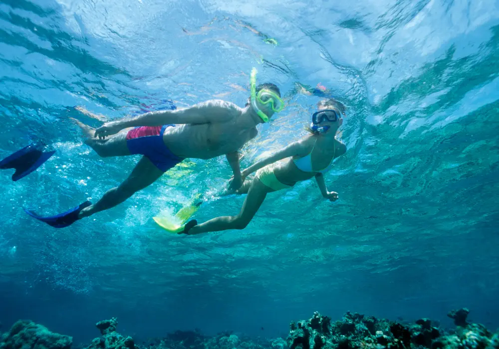 portofino kayak snorkeling tour