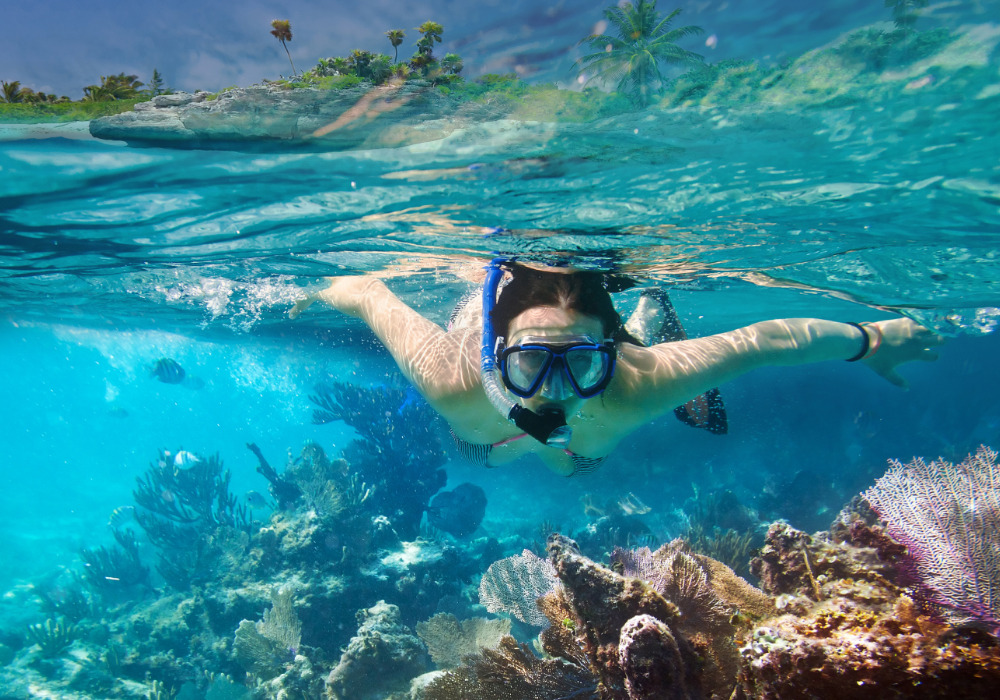 snorkeling tour